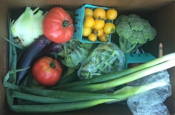 Copyof13658766_1013069812142651_215163403_n Fresh seasonal vegetables in a cardboard box, including green onions, tomatoes, yellow cherry tomatoes, broccoli, eggplant, and various greens. Ideal for healthy cooking and meal preparation.
