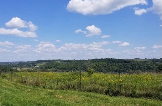 Scenic landscape featuring rolling hills under a blue sky with fluffy white clouds, bordered by a green field and a wooden fence.