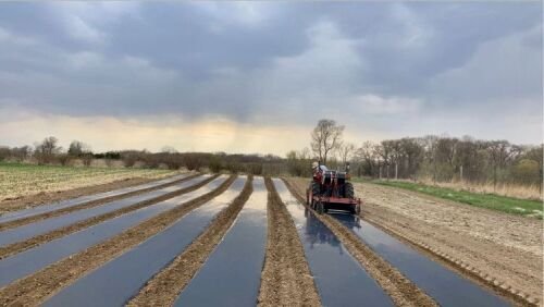 Tractor cultivating rows in a flooded agricultural field under a cloudy sky, showcasing modern farming techniques and crop preparation.