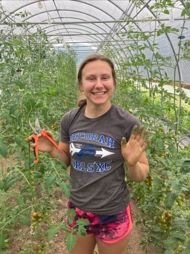 Young woman smiling in a greenhouse, holding pruning shears and showing a dirt-stained hand while surrounded by tomato plants, showcasing agricultural work and gardening skills.